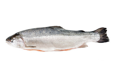 Similar image 14512744