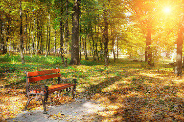 Similar image 14581061