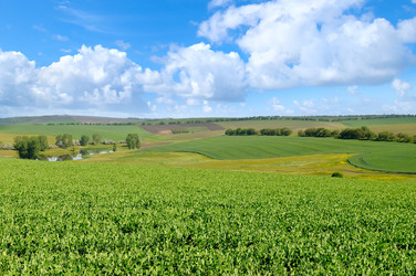 Similar image 14870681