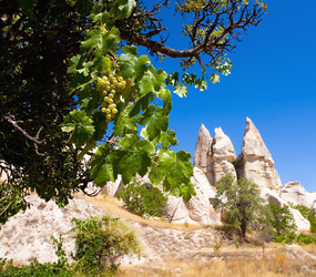 Similar image 14869423