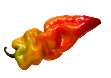 Similar image 14869431