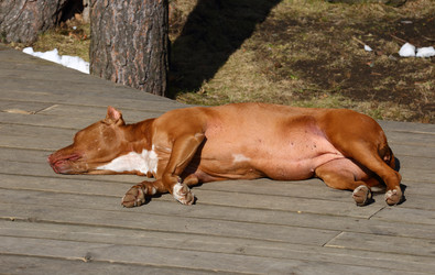 Similar image 14661230