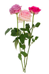 Similar image 14873687