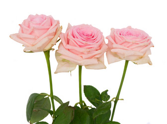 Similar image 14873688