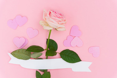 Similar image 14873689