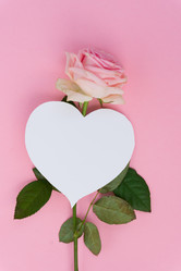 Similar image 14873904