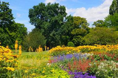 Similar image 14972840