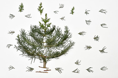 Similar image 14869645