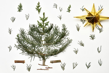 Similar image 14869647