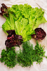 Similar image 14872569