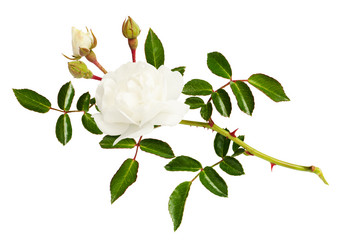 Similar image 14989122