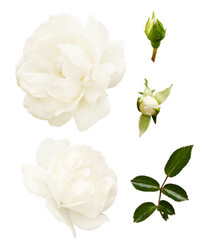 Similar image 14988875