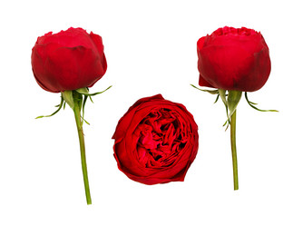 Similar image 14988914