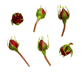 Similar image 14988950