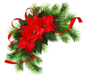 Similar image 14989103