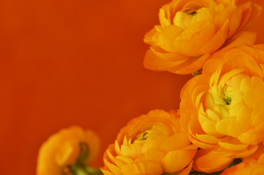 Similar image 14989197