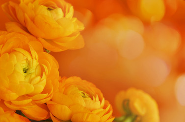 Similar image 14989209