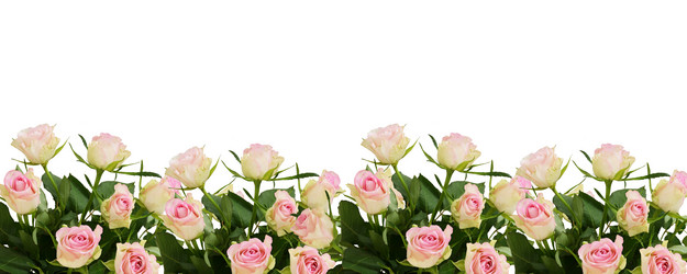 Similar image 14989291