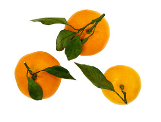 Similar image 14989310