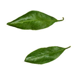 Similar image 14989368