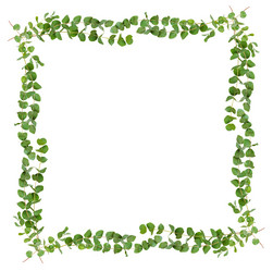 Similar image 14989502