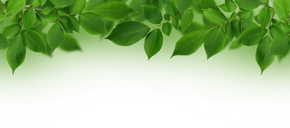 Similar image 14990384