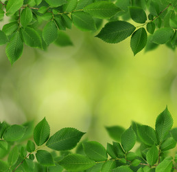 Similar image 14990460