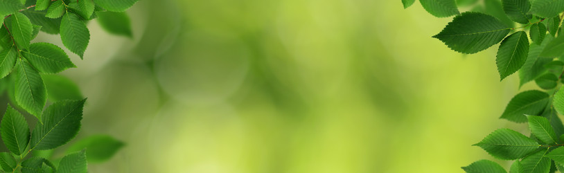 Similar image 14990535