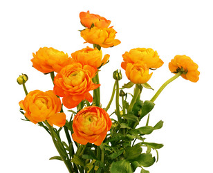 Similar image 14990551