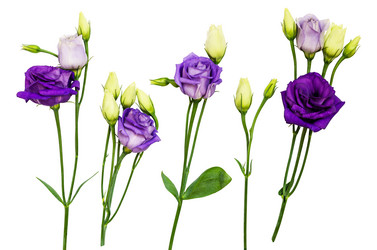 Similar image 14990743