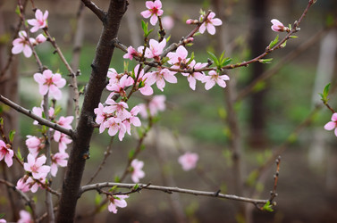 Similar image 14990790