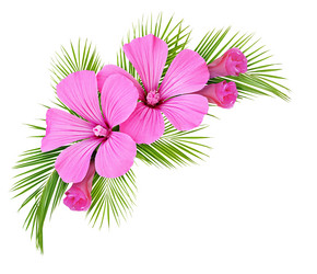 Similar image 14990839