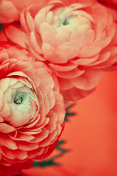 Similar image 15142265