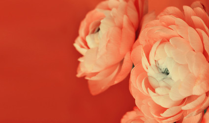 Similar image 15143434