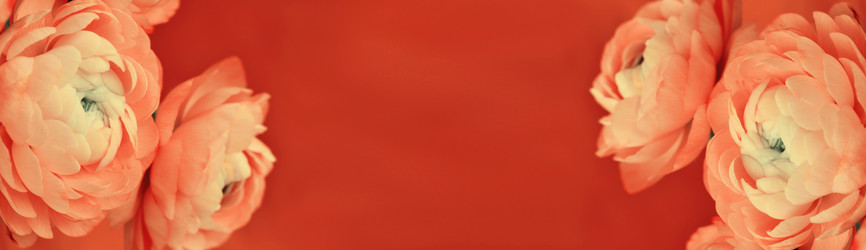 Similar image 15143452