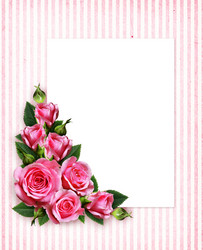 Similar image 15145270