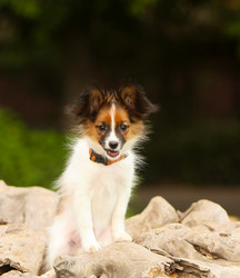 Similar image 14973040