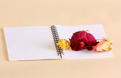 Similar image 14973880