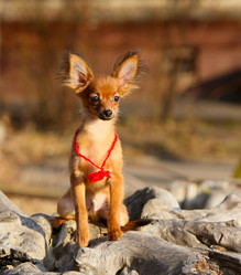 Similar image 14974110