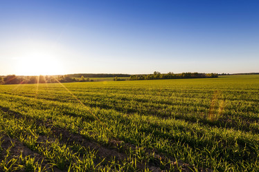 Similar image 16222007