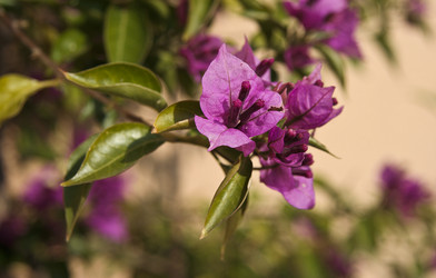 Similar image 16223404