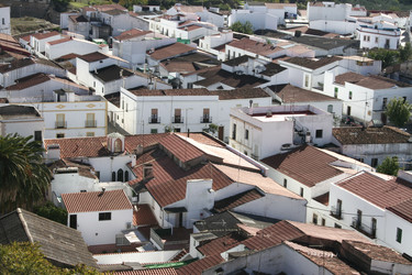 Similar image 16222863