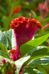 Similar image 16260062