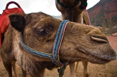 Similar image 16260138