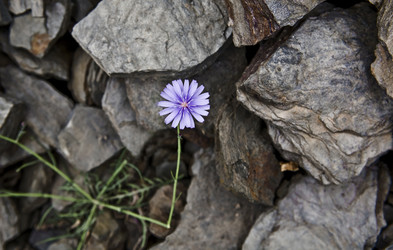 Similar image 16261052