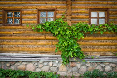 Similar image 15919727