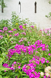 Similar image 15919760