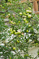 Similar image 15919763