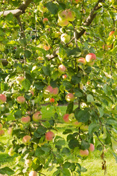 Similar image 15919675