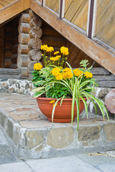 Similar image 15919689